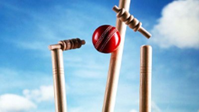 cricket betting